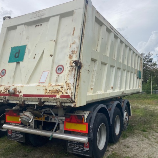MINERVA 2000G VASCA - immagine 4